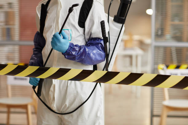 Professional Hoarding Cleanup technician working in Lena, WI